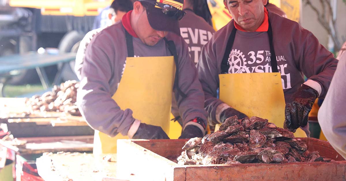 Photo Gallery: 35th Annual Oyster Festival in Oyster Bay
