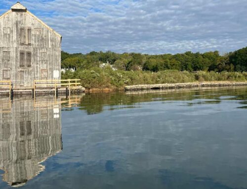 New Name, Renewed Purpose: Lefferts Tide Mill & Preserve